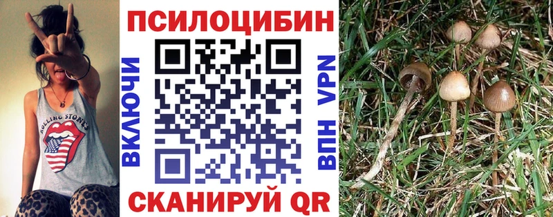 Галлюциногенные грибы Psilocybe  Далматово 